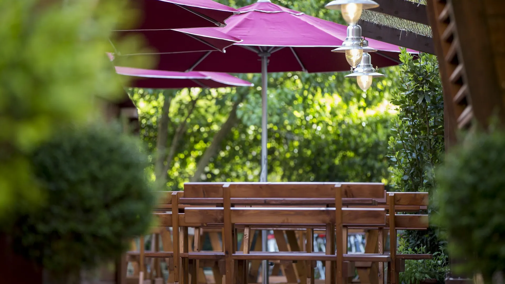 Suite & Breakfast 7 Vizi Cola  Italy